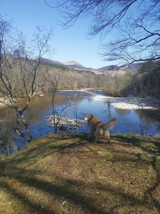 Riverside Lodge In Killiecrankie Bridge of Tilt エクステリア 写真