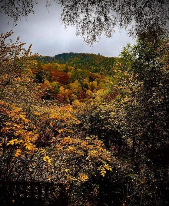 Riverside Lodge In Killiecrankie Bridge of Tilt エクステリア 写真